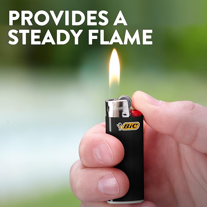 
                  
                    BIC Mini
                  
                