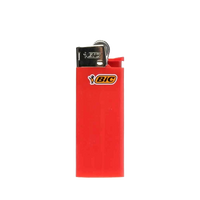 BIC Mini